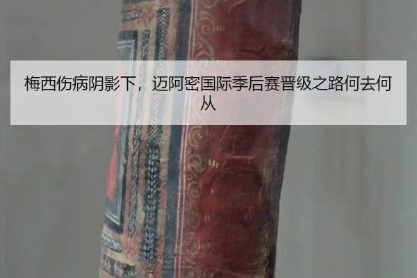 mei-xi-shang-bing-yin-ying-xia-mai-a-mi-guo-ji-ji-hou-sai-jin-ji-zhi-lu-he-qu-he-cong-3-726.jpg