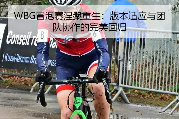mao-pao-sai-nie-pan-chong-sheng-ban-ben-shi-ying-yu-tuan-dui-xie-zuo-de-wan-mei-hui-gui-3-656.jpg