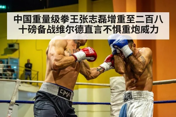 中国重量级拳王张志磊增重至二百八十磅备战维尔德直言不惧重炮威力
